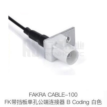 Fakra-CABLE-100